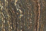 Polished Tiger Iron Stromatolite Slab - Billion Years #222024-1